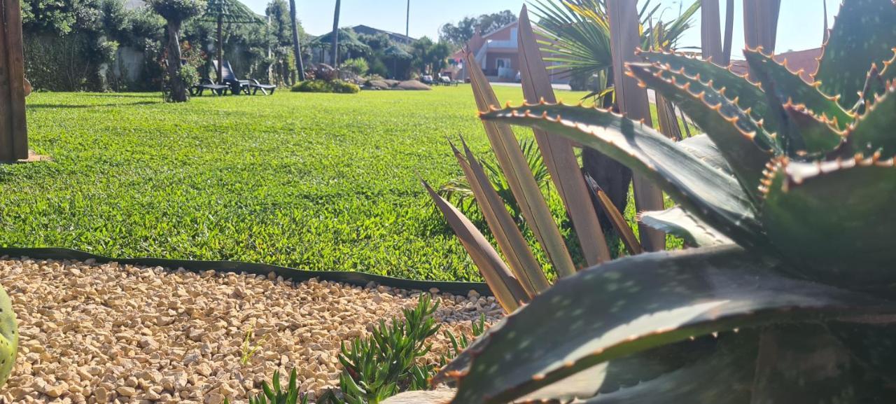 Hollidays Dreams Villa Póvoa de Varzim Exteriör bild