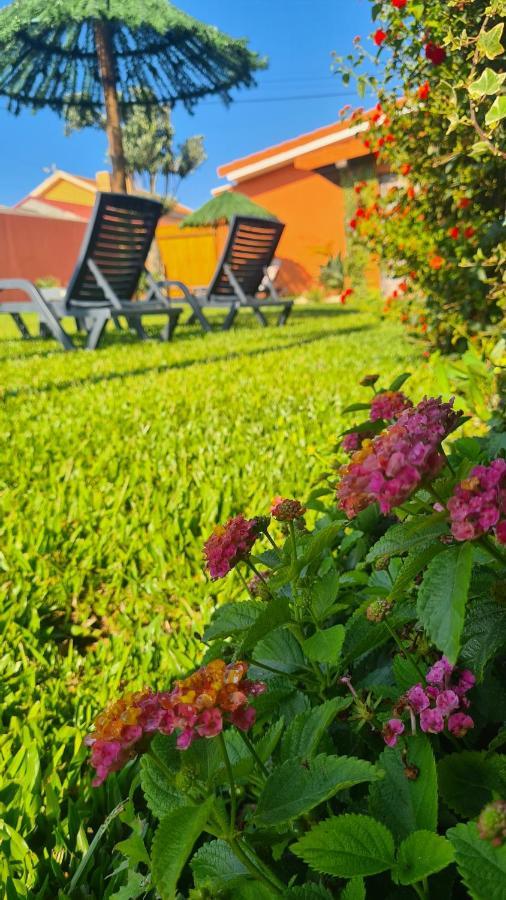 Hollidays Dreams Villa Póvoa de Varzim Exteriör bild