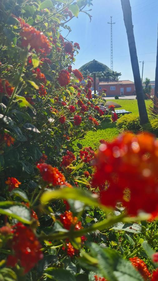 Hollidays Dreams Villa Póvoa de Varzim Exteriör bild