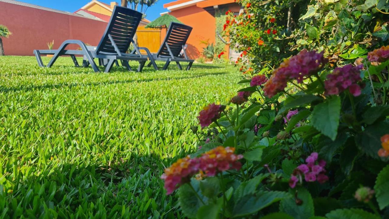 Hollidays Dreams Villa Póvoa de Varzim Exteriör bild